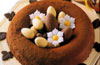 Nid de Pâques au chocolat