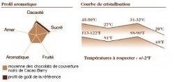 Profil aromatique et tempérage du chocolat de couverture noir Excellence de la marque Barry