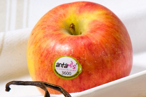 La pomme Antarès®